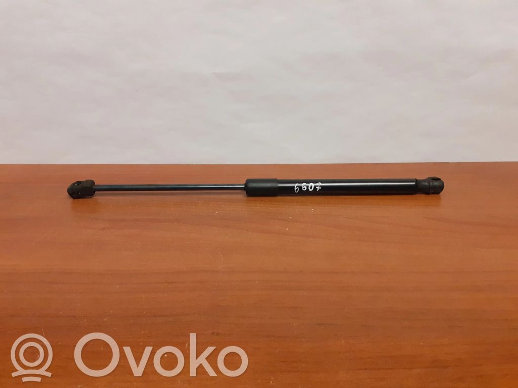 BMW X6 E71 Front bonnet/hood damper/strut 