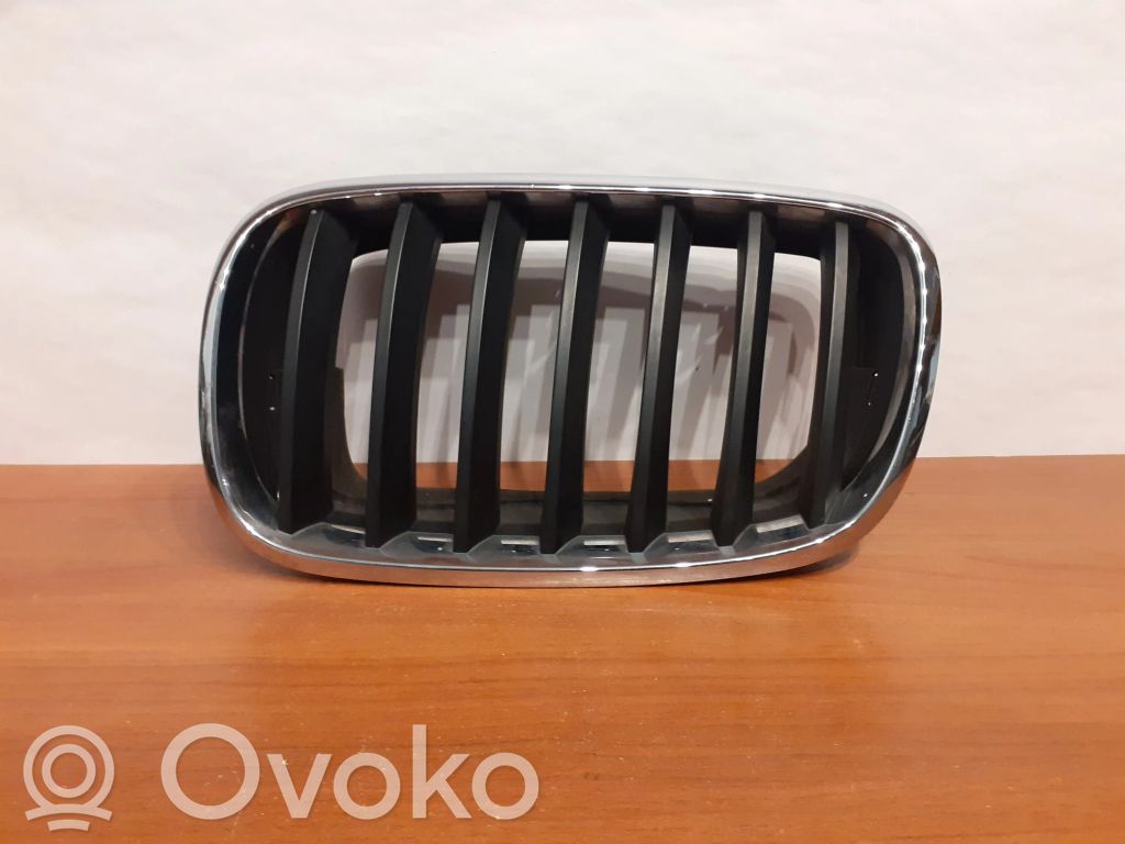 BMW X5 E70 Front grill 