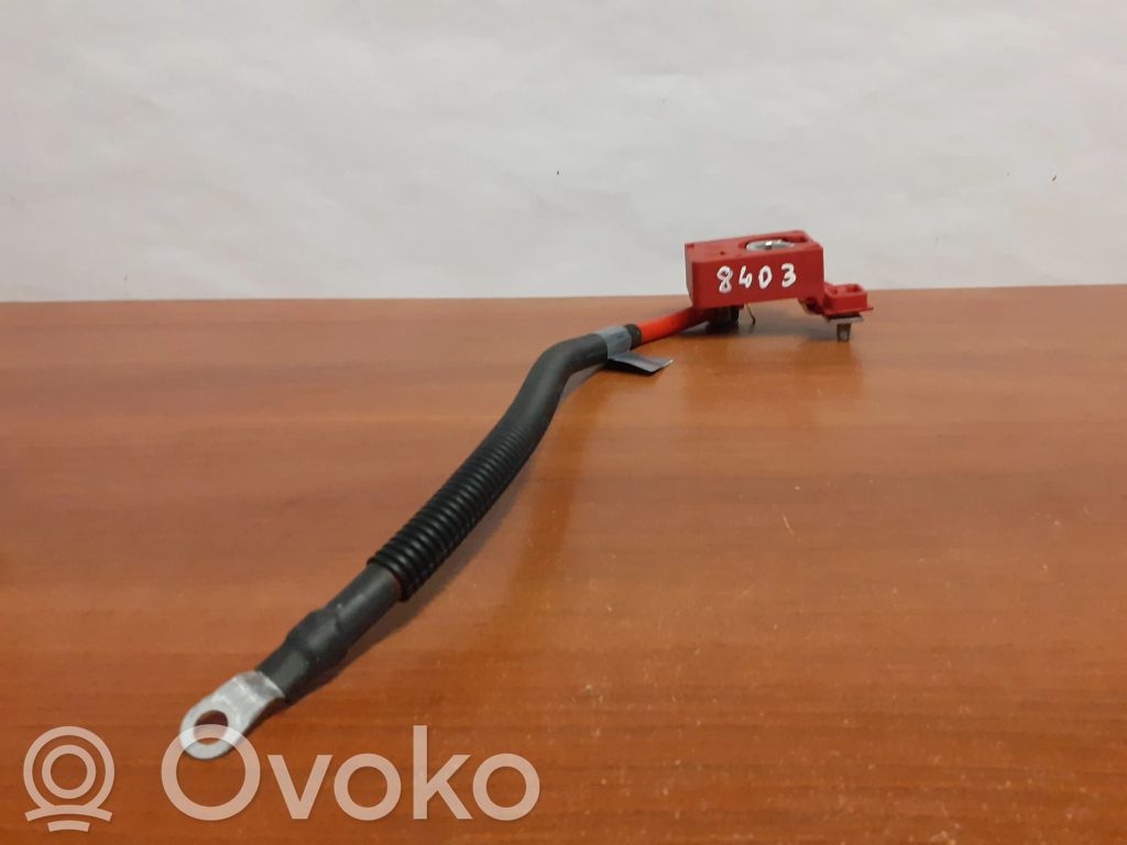 Pluskabel Batterie   9115449,8403,10304410,9115438