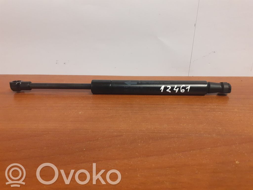 BMW X6 E71 Spyruoklė (-ės) galinio dangčio 