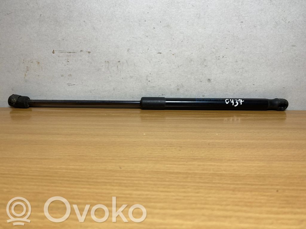 BMW X5 E70 Front bonnet/hood damper/strut 