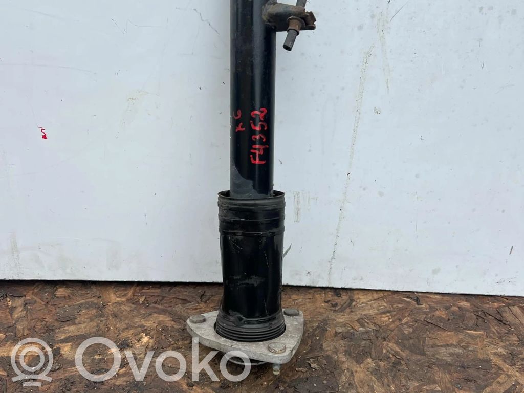 BMW X5 E70 Rear shock absorber/damper 