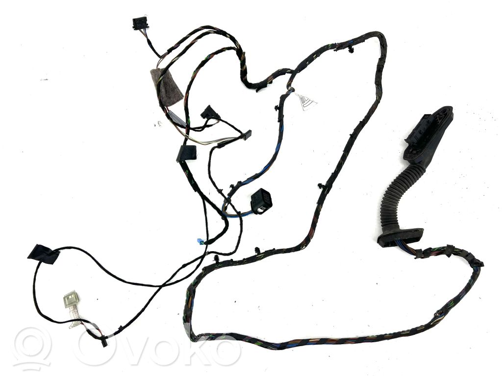 BMW X5 E70 Cableado de puerta trasera 