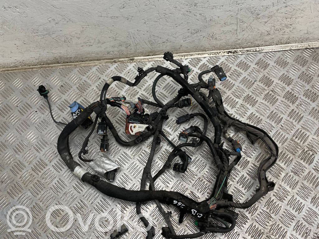 Citroen Berlingo Проводка двигателя 