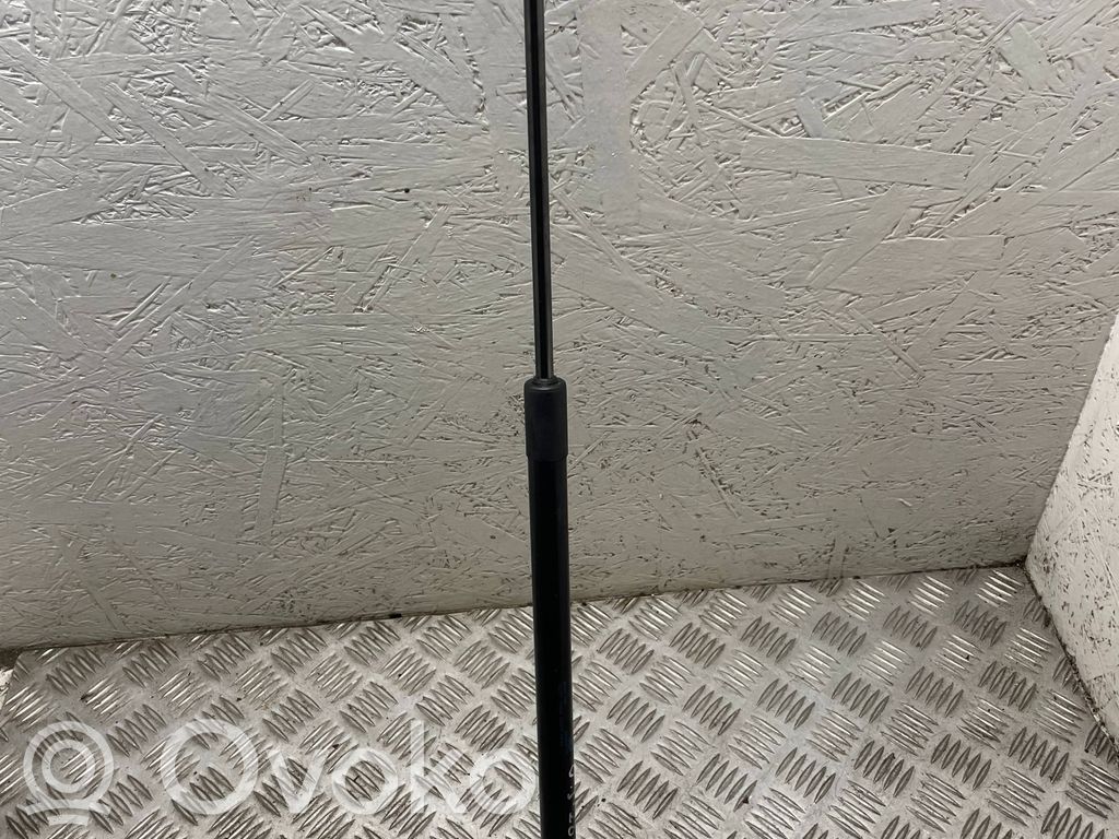 Opel Insignia A Tailgate/trunk strut/damper 