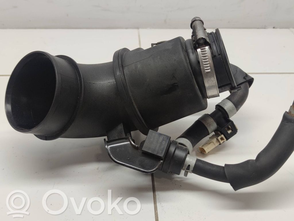 Hyundai Santa Fe Valvola di depressione 