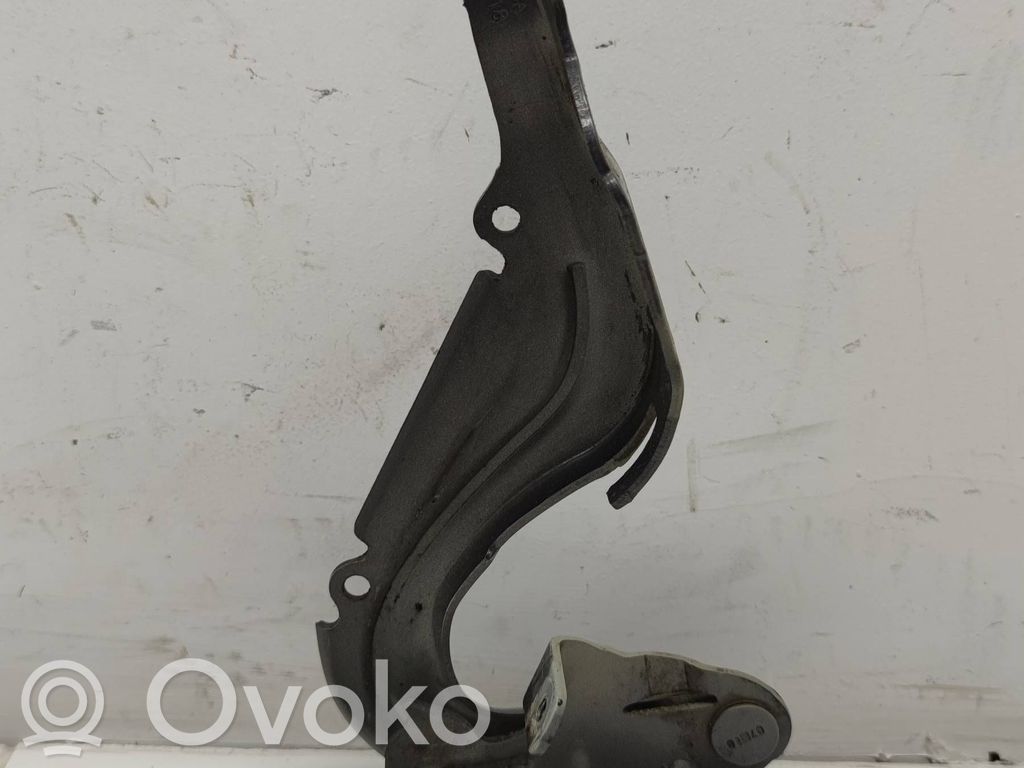 Citroen C3 Scharnier Motorhaube 