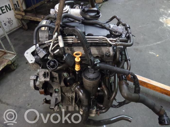 Motor   AMF