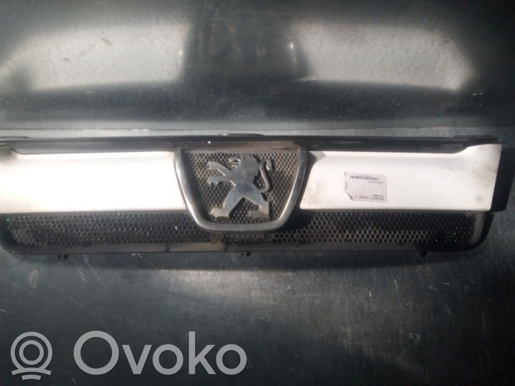 Peugeot Boxer Etusäleikkö 