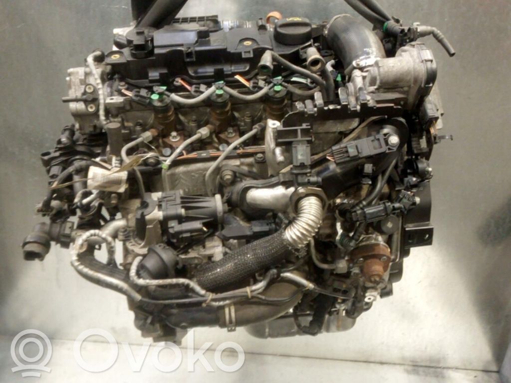 Motor   0135RG