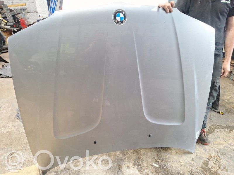 Dzinēja pārsegs (vāks)   41003449411