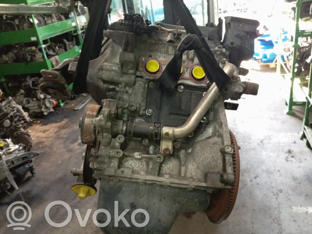 Motor   00000135TF