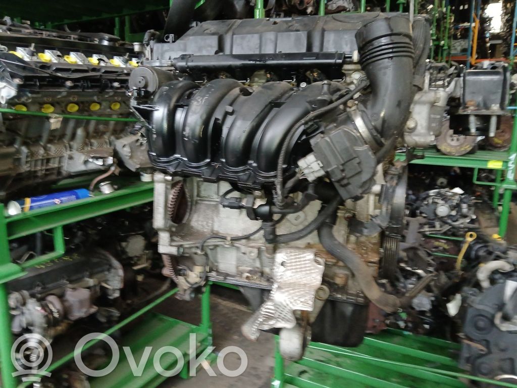 Motor   00000135NP