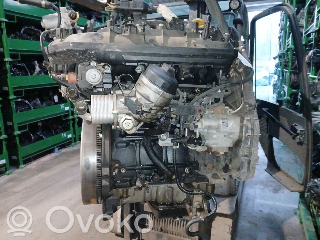 Engine   55572934