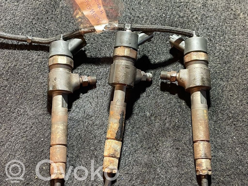 Inyector de combustible   445110276,229336