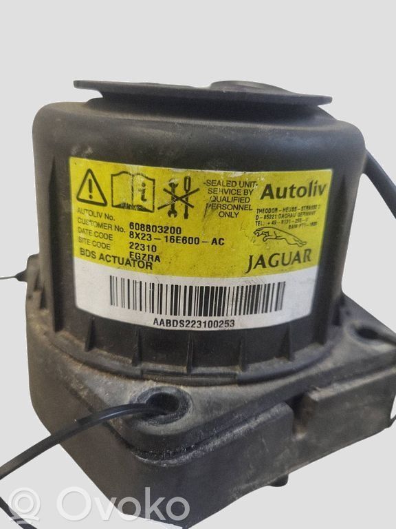 Jaguar XF X250 Airbag pietoni