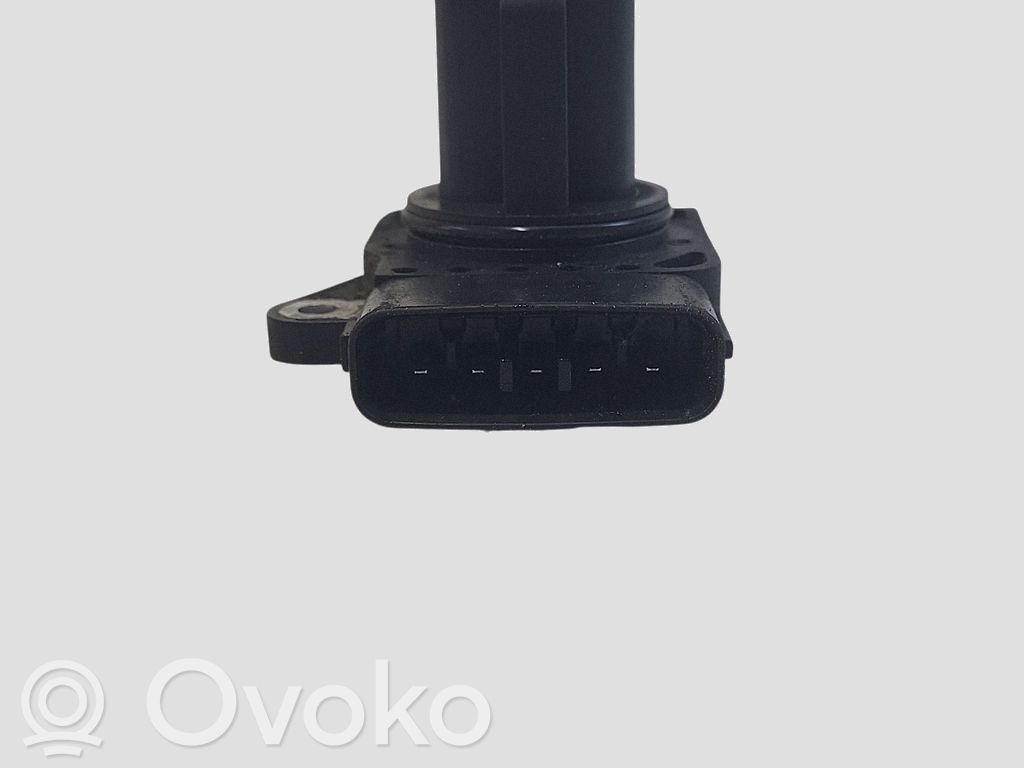 Debitmetru aer   1974002010