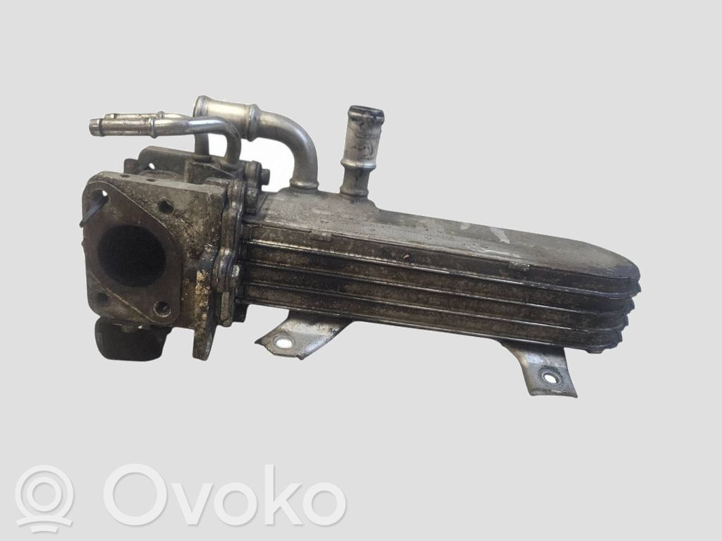 Volkswagen Golf V Răcitor supapă EGR 