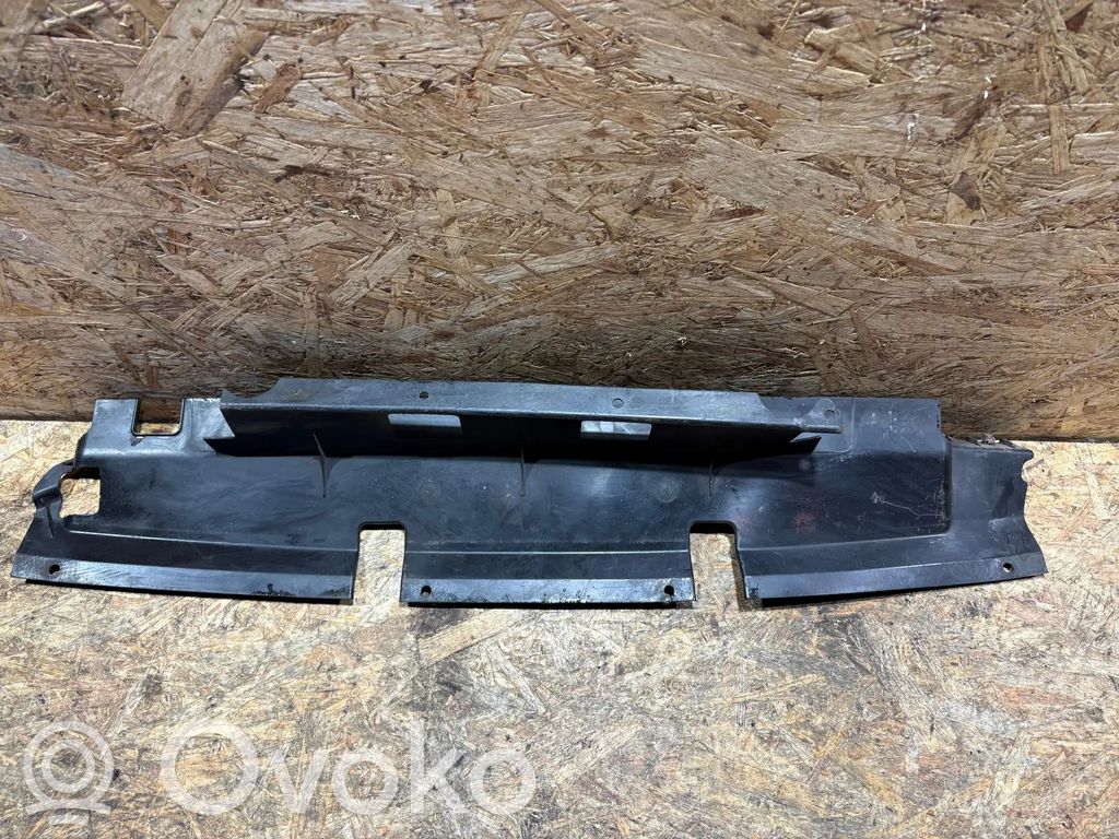 Variklio dugno apsauga   6C11V8B384AC