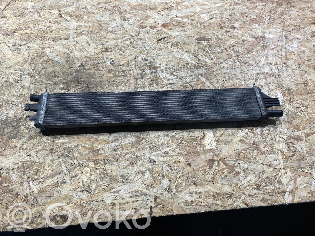 Renault Master III Aušinimo skysčio radiatorius 