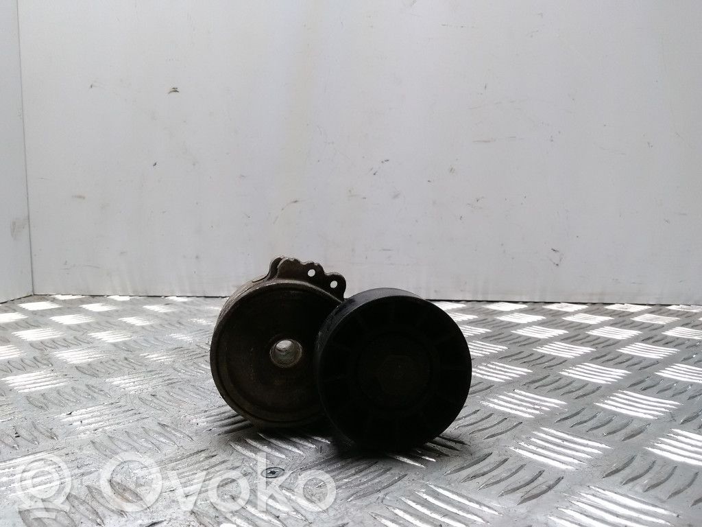 Volvo V50 Generatoriaus diržo įtempėjas 