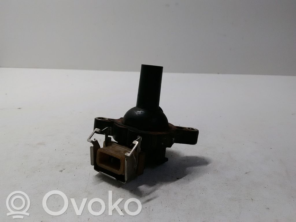 High voltage ignition coil   1748018,11859