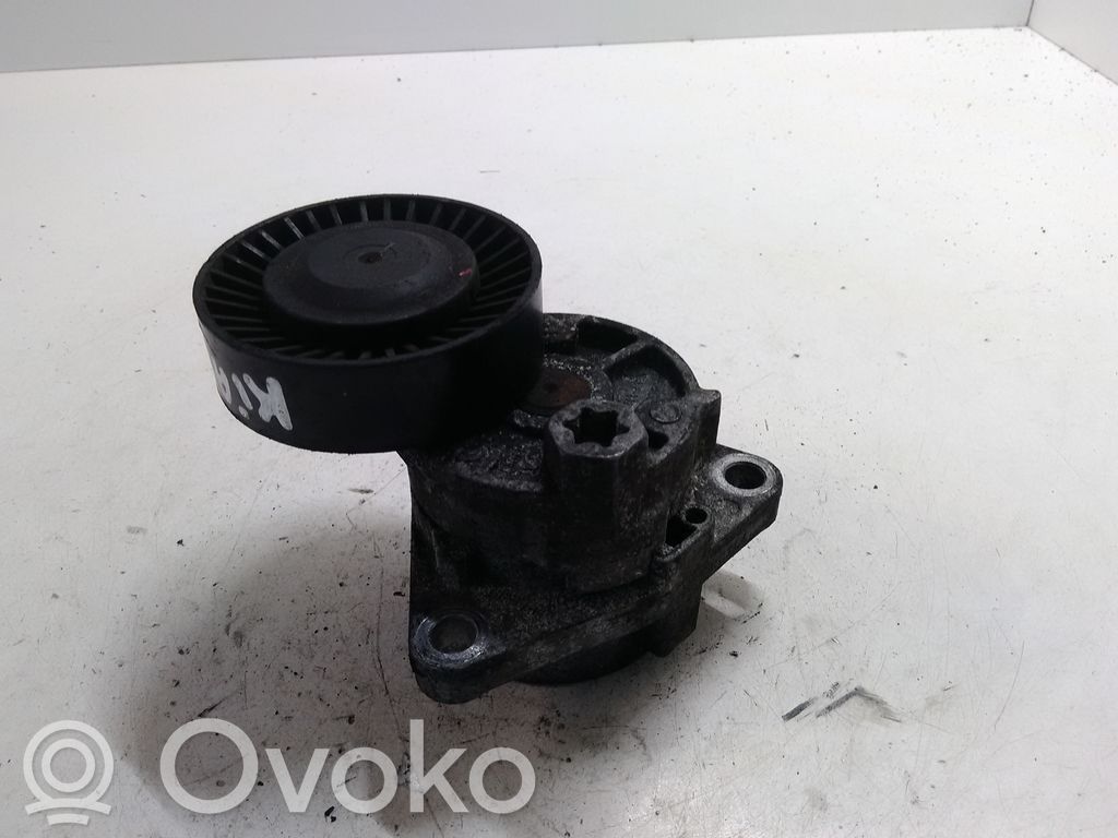 Napinacz paska alternatora   F233588