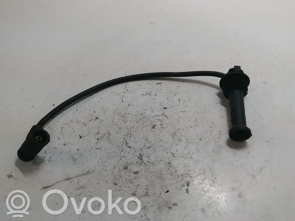 Ford Focus Ignition plug leads 