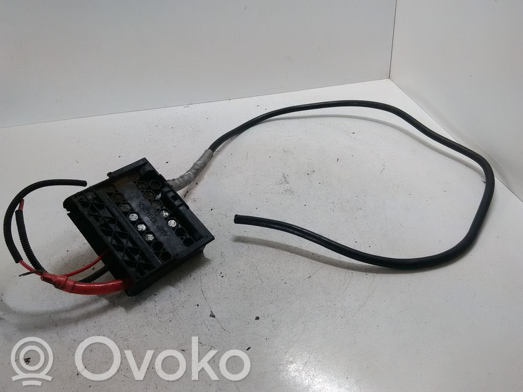 Ford Fiesta Positive wiring loom 