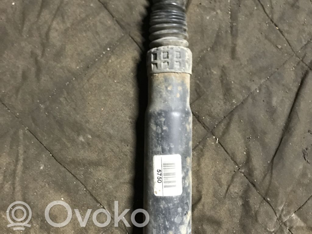 Citroen C8 Stoßdämpfer hinten 