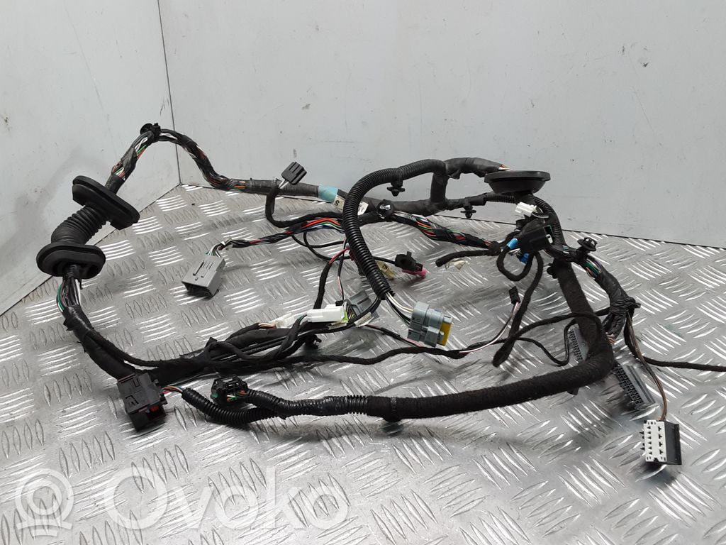 Tesla Model S Cableado de puerta delantera 