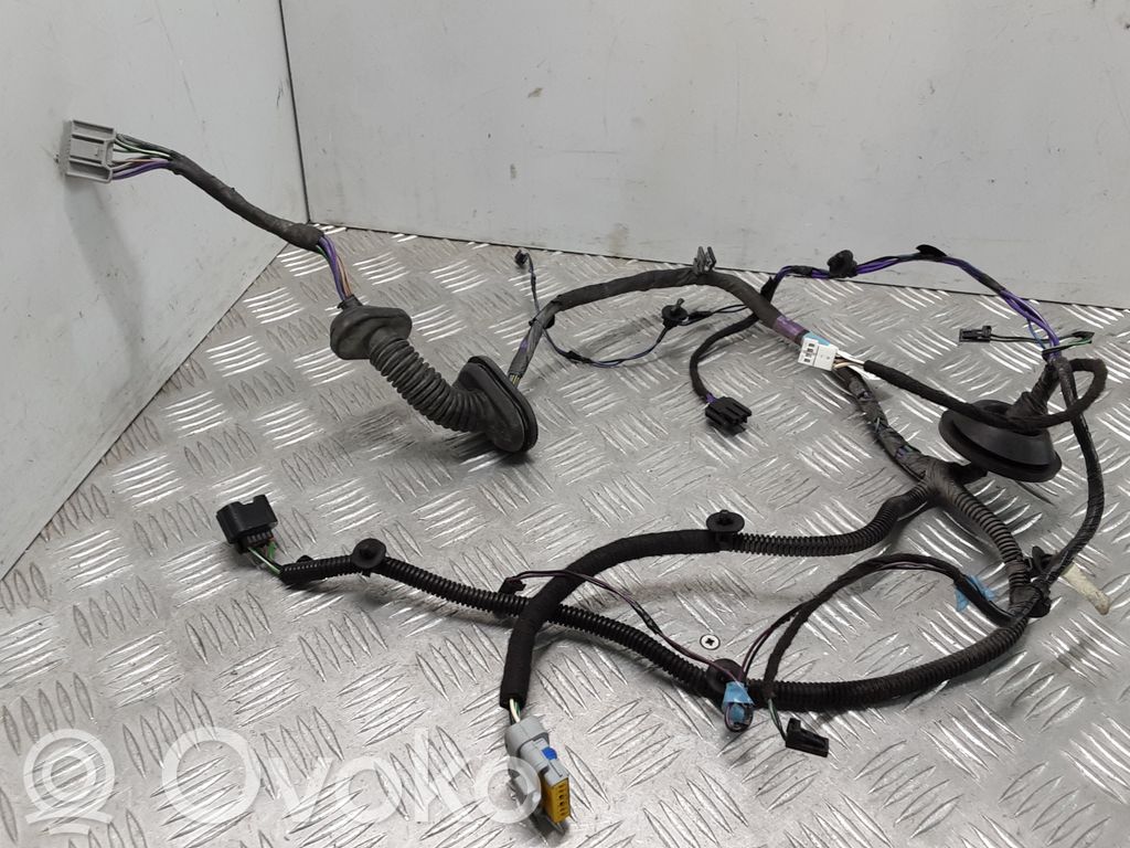 Tesla Model S Cableado de puerta trasera 
