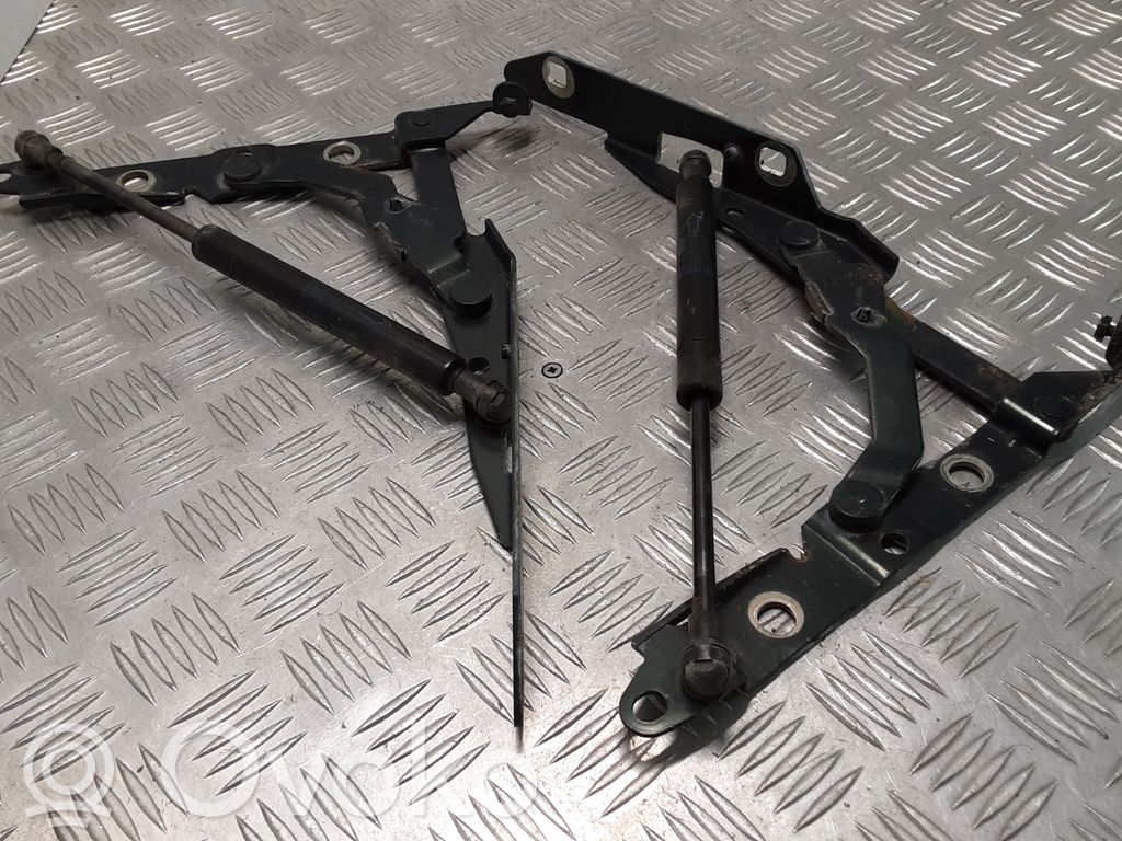 Tailgate/trunk/boot hinge   9542NX,1X43432A39AC,1X43432A38CA