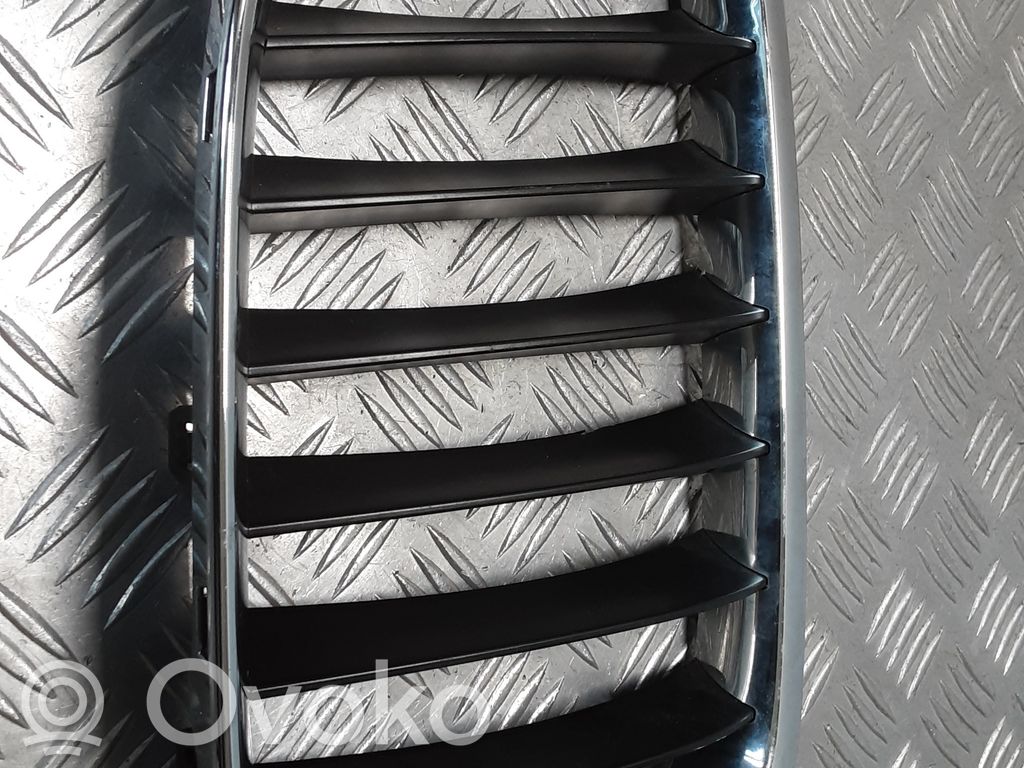 Front grill   51112993308,2993308
