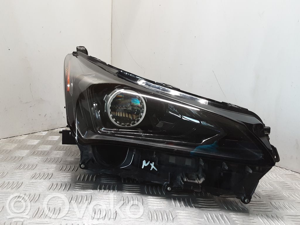 Lexus NX Headlight/headlamp 