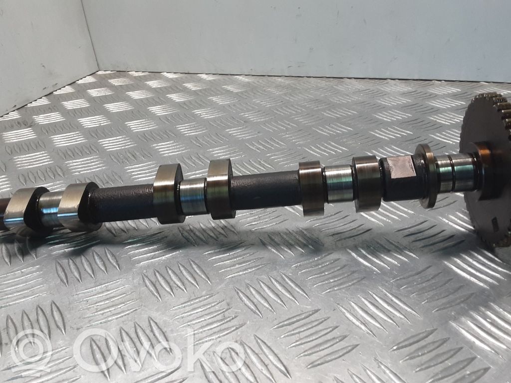 Sadales vārpsta   1X4E6A269CA,1X4E6256AD