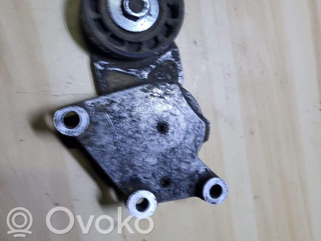 Ford Focus Generatoriaus diržo įtempėjas 