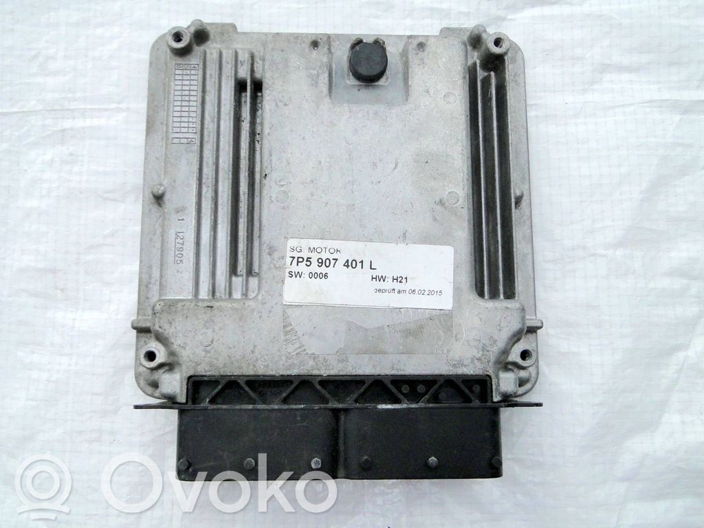 Porsche Cayenne (92A) Engine control unit/module 