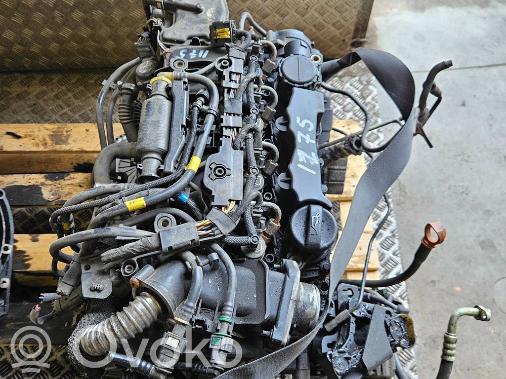 Motor   DV6TED4
