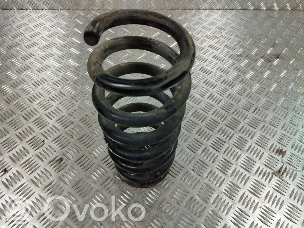 Rear coil spring