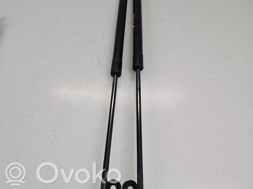 Ford Kuga II Tailgate/trunk strut/damper 