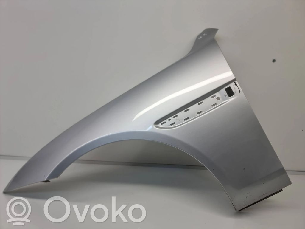 Jaguar XE Guardabarro 
