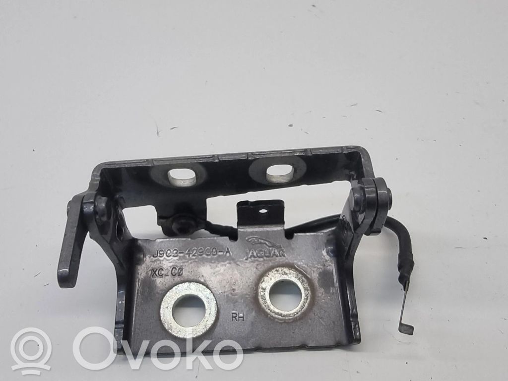 Jaguar E-Pace Engine bonnet/hood hinges 