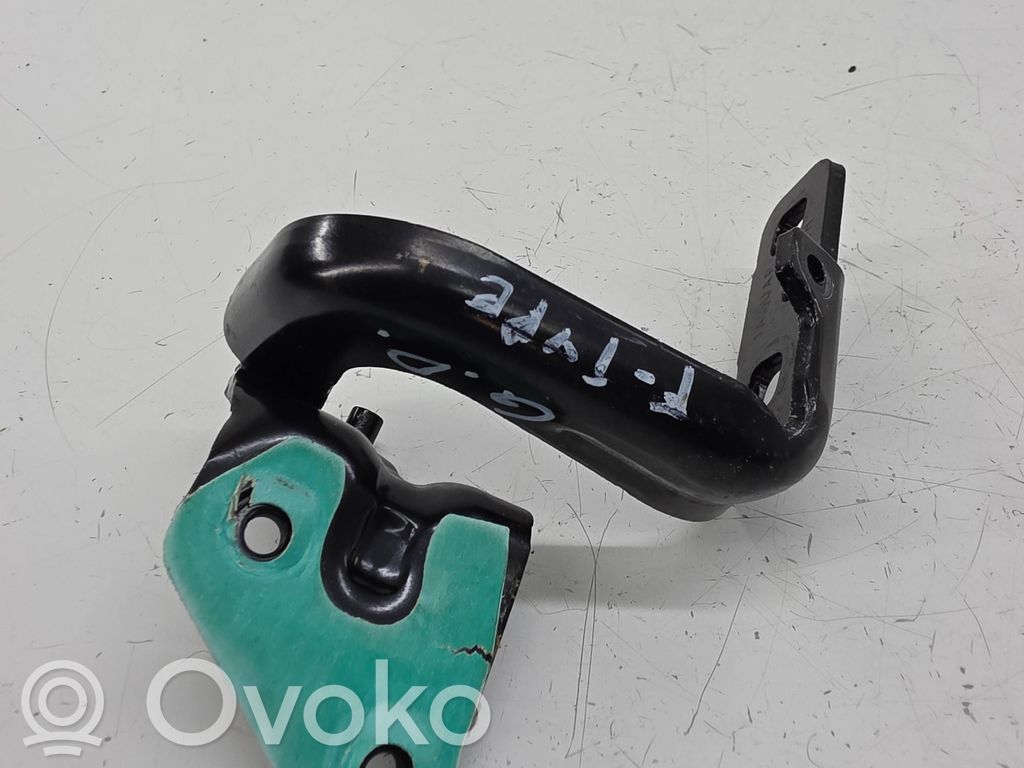 Jaguar F-Type Tailgate/trunk/boot hinge 