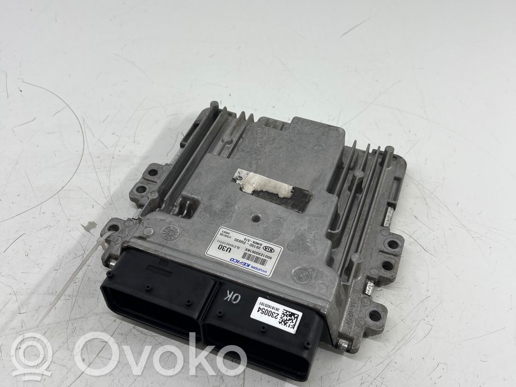 KIA Sportage Engine control unit/module 