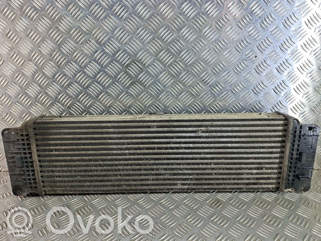Mercedes-Benz Sprinter W906 Radiator intercooler 