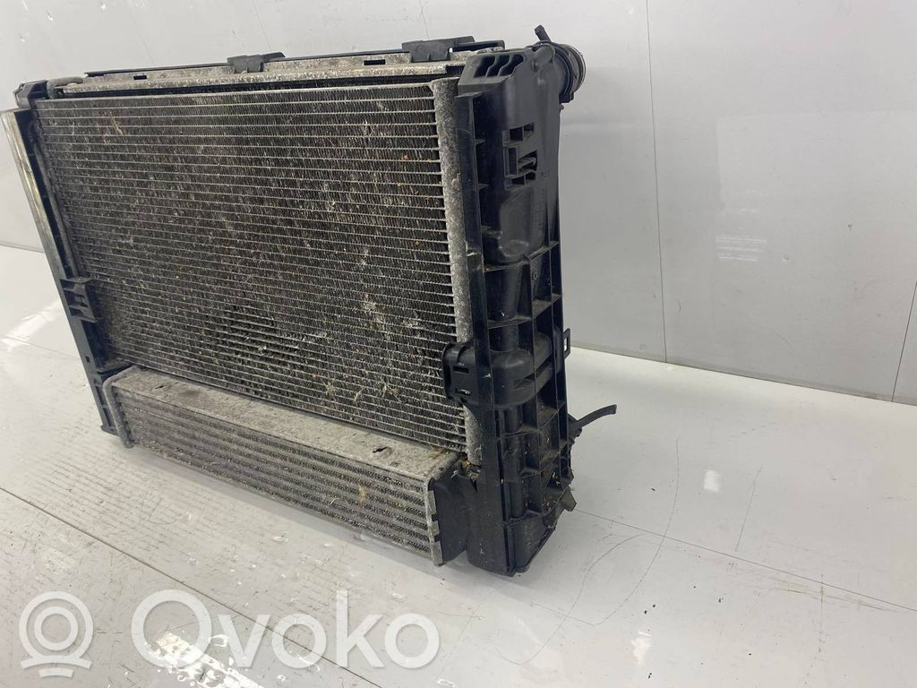 Radiator set   75617119,781291301,916952602,780199301