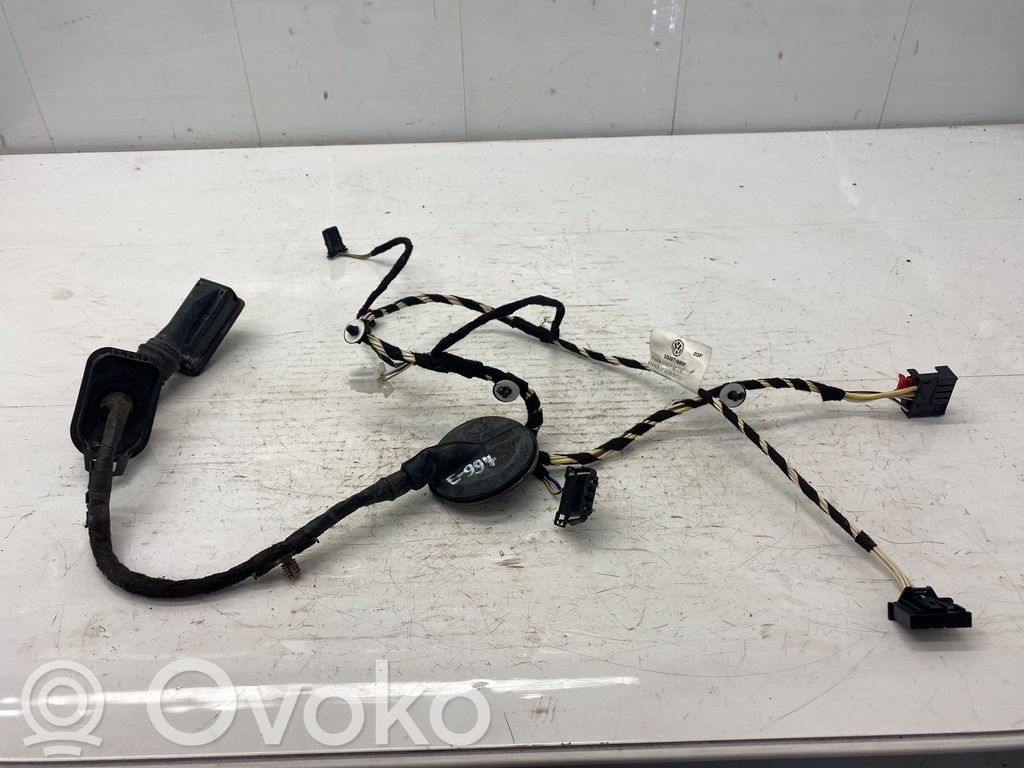 Volkswagen PASSAT B8 Cableado de puerta trasera 