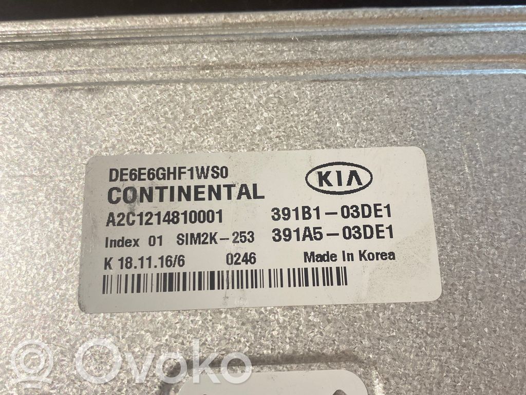 KIA Niro Other control units/modules 