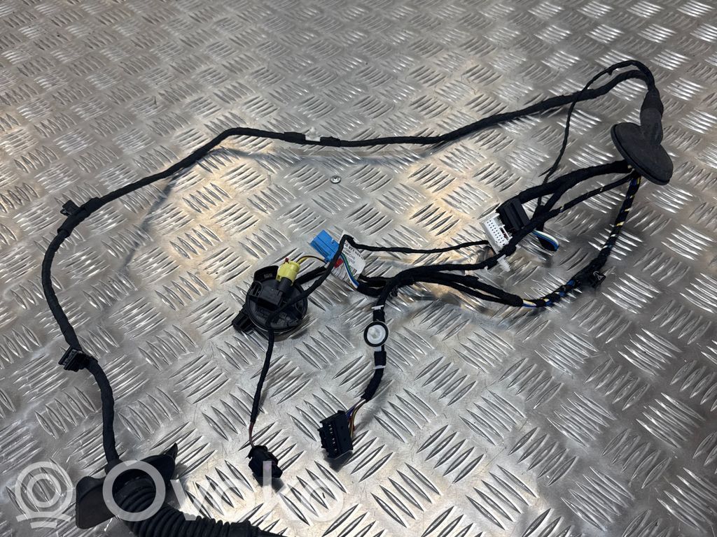 Audi A6 S6 C8 4K Cableado de puerta delantera 